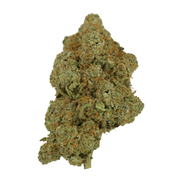 Tropicana Cookies | CannaBudget Canada