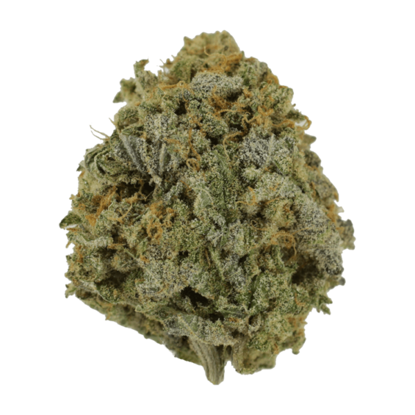 Pink Tuna (Popcorn) – $40/oz | CannaBudget Canada