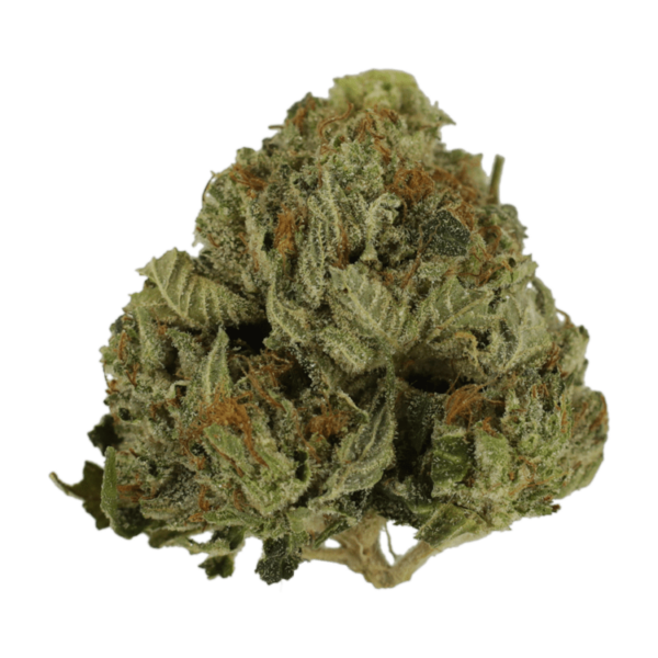 Pink Animal – 1 ounce | CannaBudget Canada