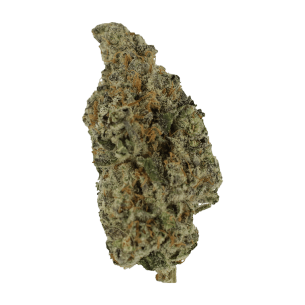 Biscotti Sundae | CannaBudget Canada