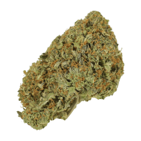 Garlic Breath – 1oz / $60 | CannaBudget Canada