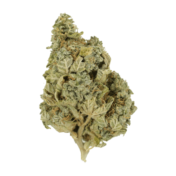 Khalifa Kush | CannaBudget Canada