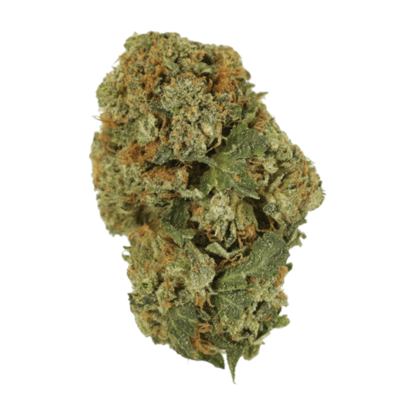 Dank Schrader | CannaBudget Canada