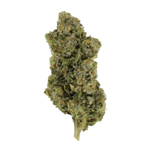 Jokerz | CannaBudget Canada