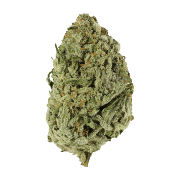 Lemon Meringue 1 Ounce | CannaBudget Canada