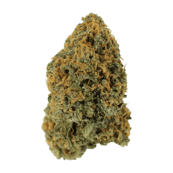 Lemon Sour Diesel | CannaBudget Canada