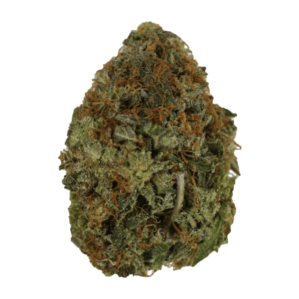 Orange Romulan | CannaBudget Canada