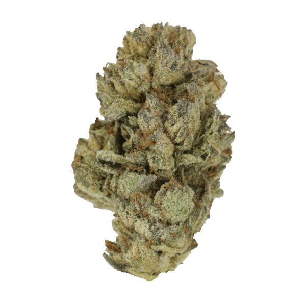 Pink Candy Kush | CannaBudget Canada