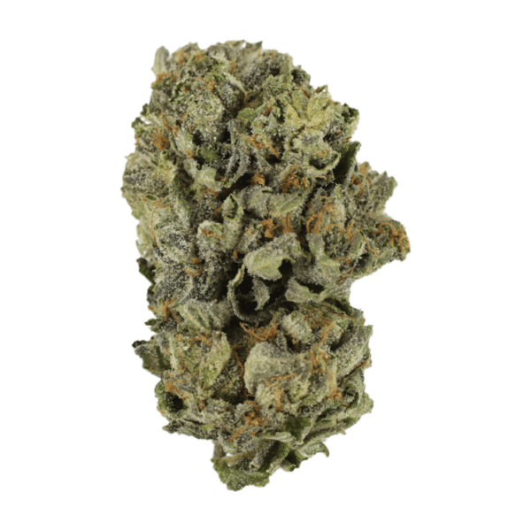 Cerebro Haze | CannaBudget Canada