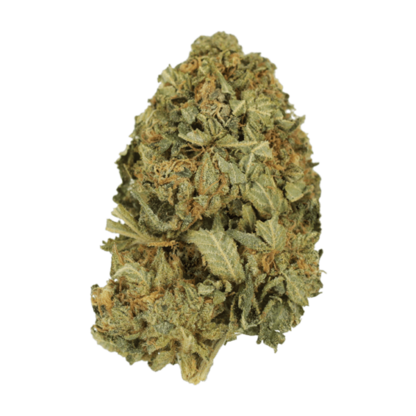 G13 | CannaBudget Canada