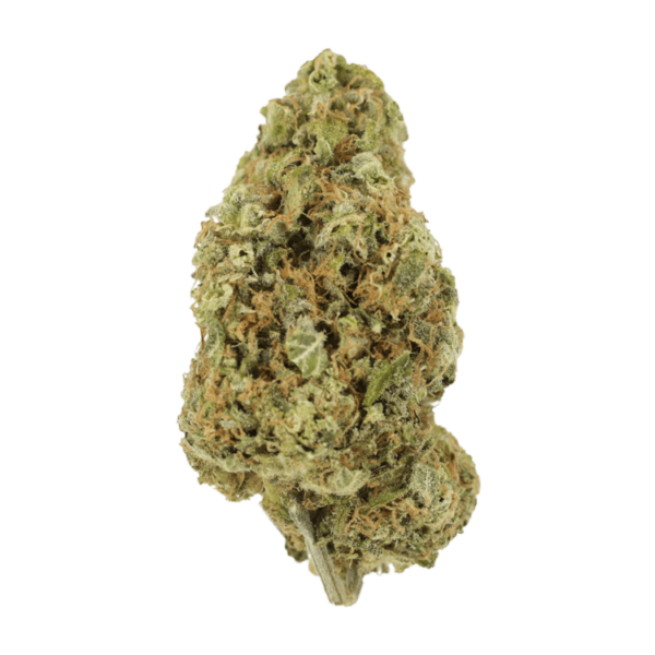 Sour Jack | CannaBudget Canada