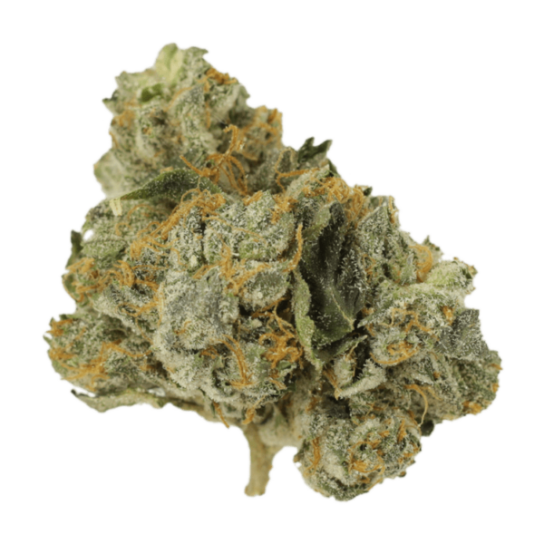 Mango Cream | CannaBudget Canada
