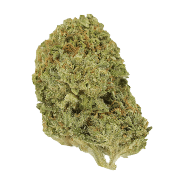 Mango Cream | CannaBudget Canada