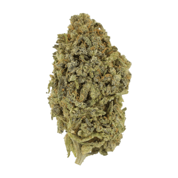 Watermelon Gelato | CannaBudget Canada
