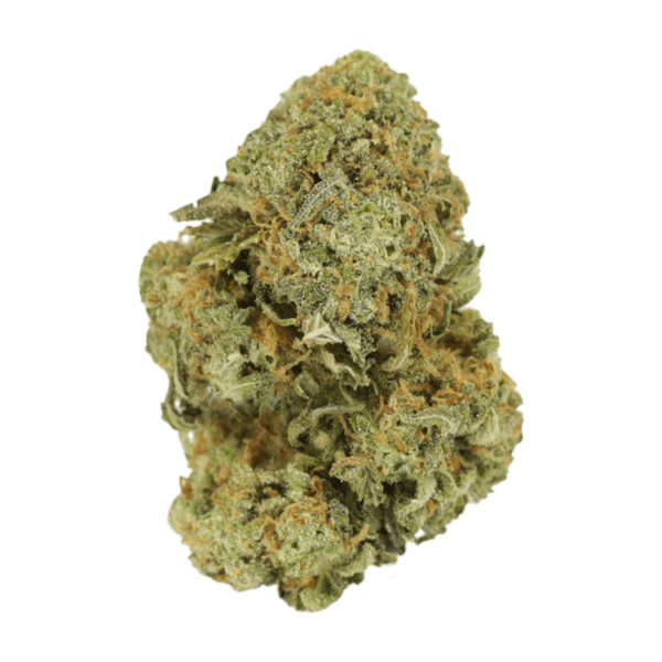 Watermelon Gelato | CannaBudget Canada