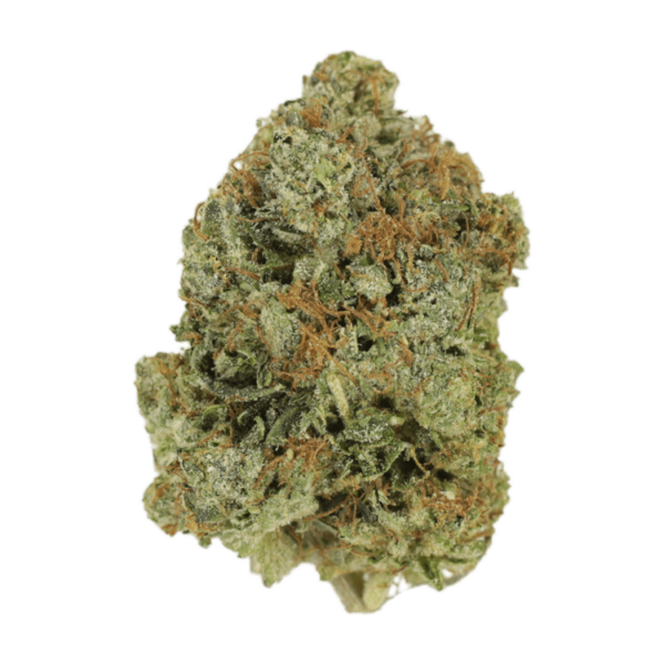 Jack Herer (popcorn) | CannaBudget Canada