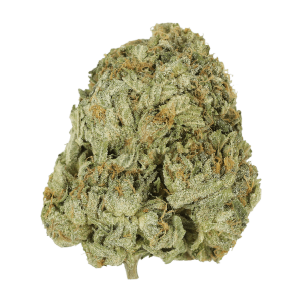 Godzilla Glue | CannaBudget Canada