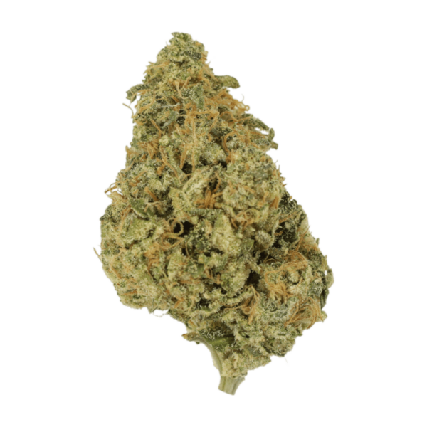 OG Lemon Haze | CannaBudget Canada