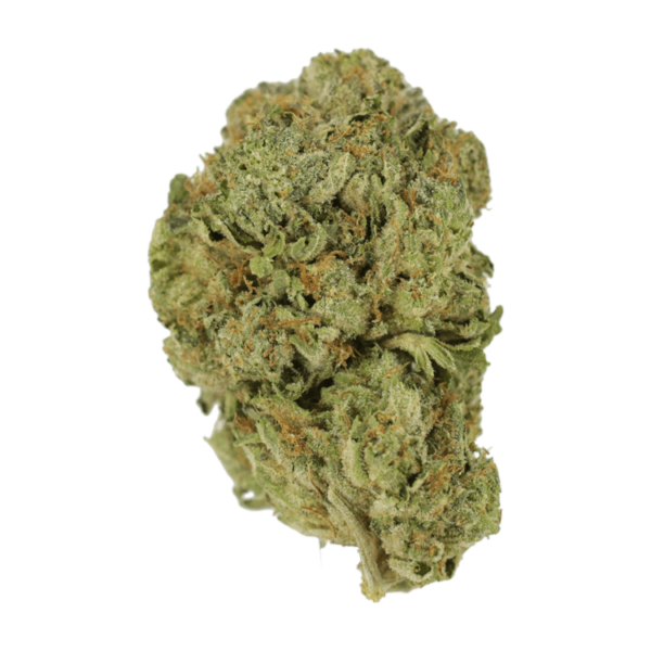 Super Blue Dream | CannaBudget Canada