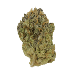 Blueberry Muffin | CannaBudget Canada