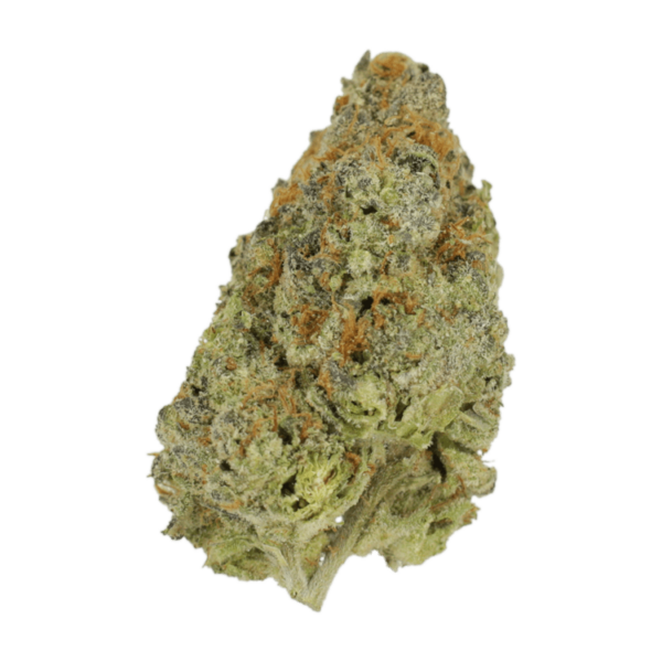 Lilac Diesel | CannaBudget Canada