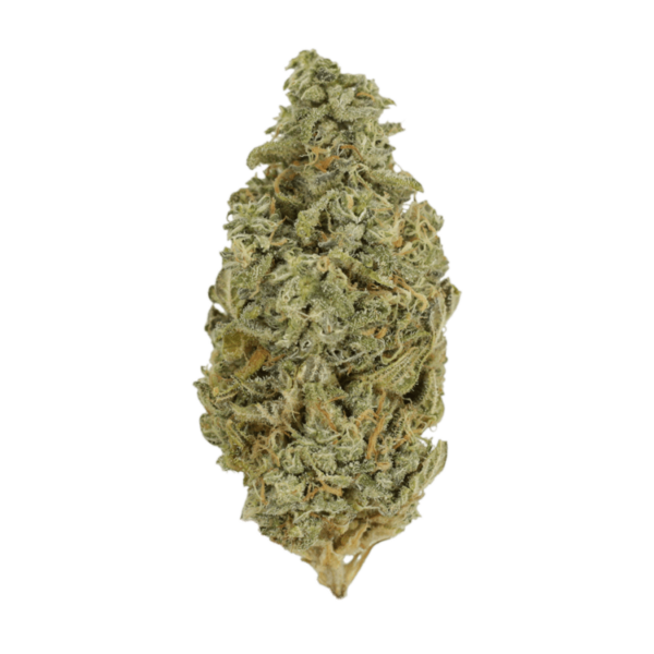 Orange Cookies | CannaBudget Canada