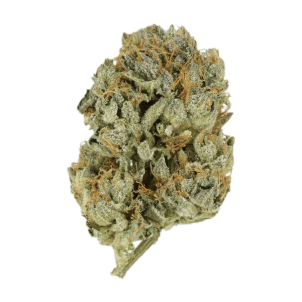 Kashmir Kush | CannaBudget Canada