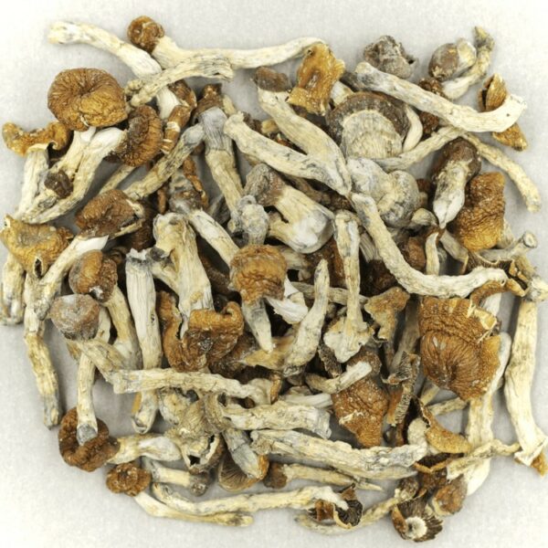 Florida White | CannaBudget Canada