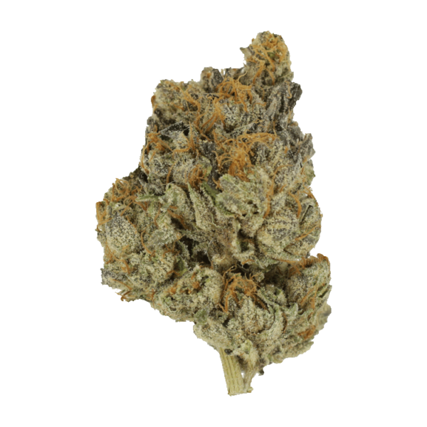 Divorce Cake | CannaBudget Canada