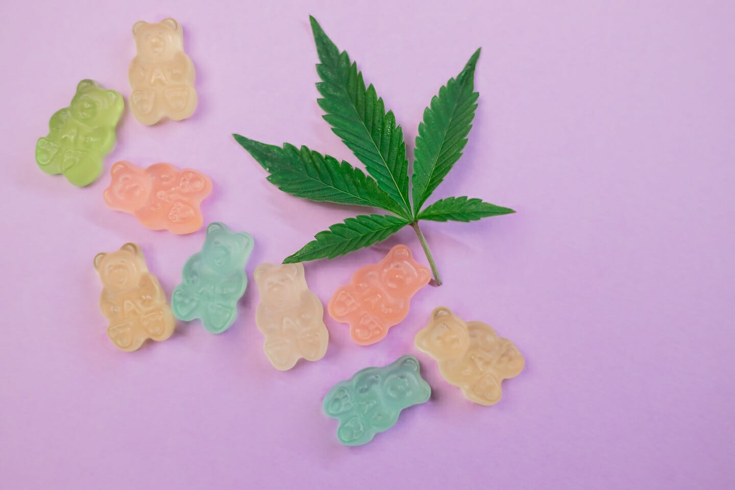 Cannabis Edibles | CannaBudget Canada