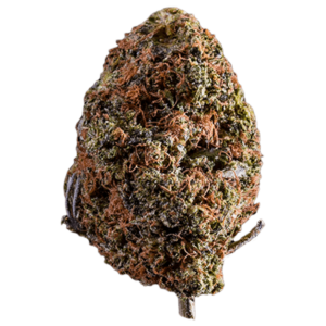 Afghan Kush | CannaBudget Canada