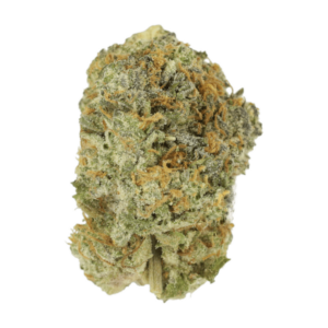 Slurricane | CannaBudget Canada