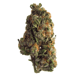 Grape Crush | CannaBudget Canada