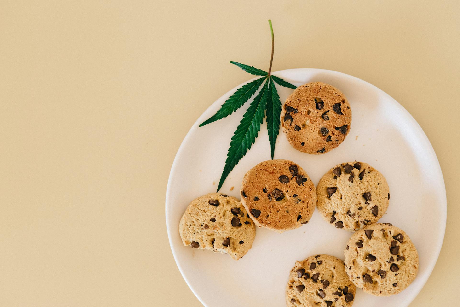 Edibles online at Canada | CannaBudget Canada