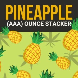 Pineapple 1 OZ Kit | CannaBudget Canada