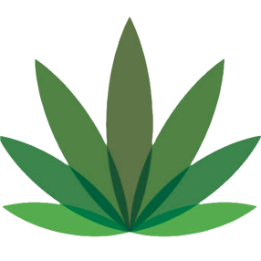 logo (1) - CannaBudget Canada | CannaBudget Canada